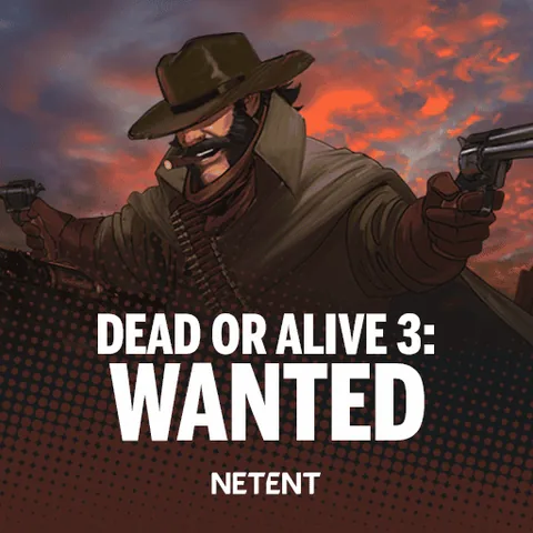 Dead or Alive 3: Wanted oyununun kapak görseli