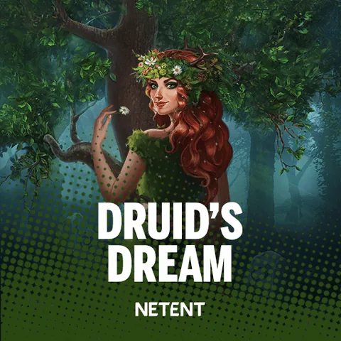 Druids' Dream oyununun kapak görseli