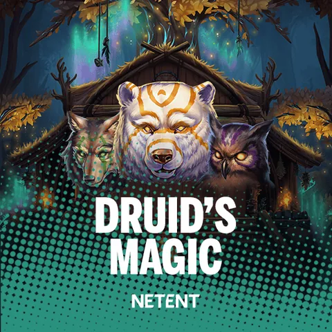 Druids Magic oyununun kapak görseli