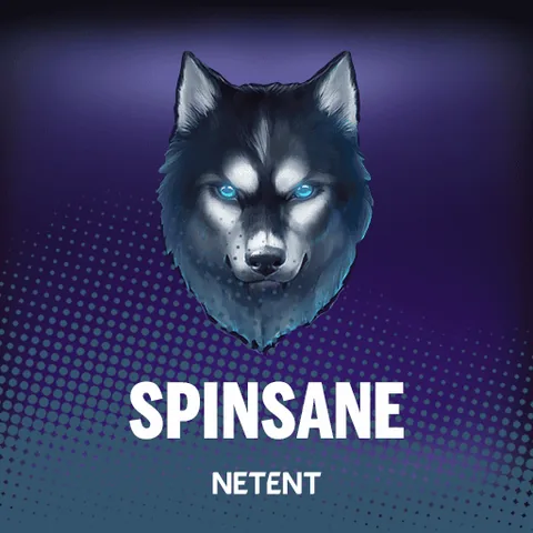 Spinsane oyununun kapak görseli