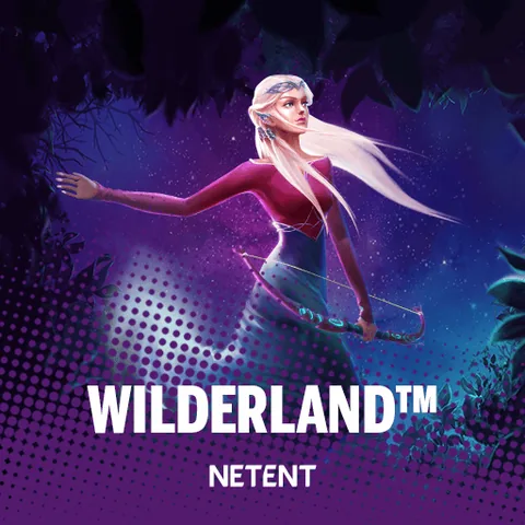Wilderland için özgün tanıtım görseli: slot oyunu düzenini soyut geometrik desenle gösterir.